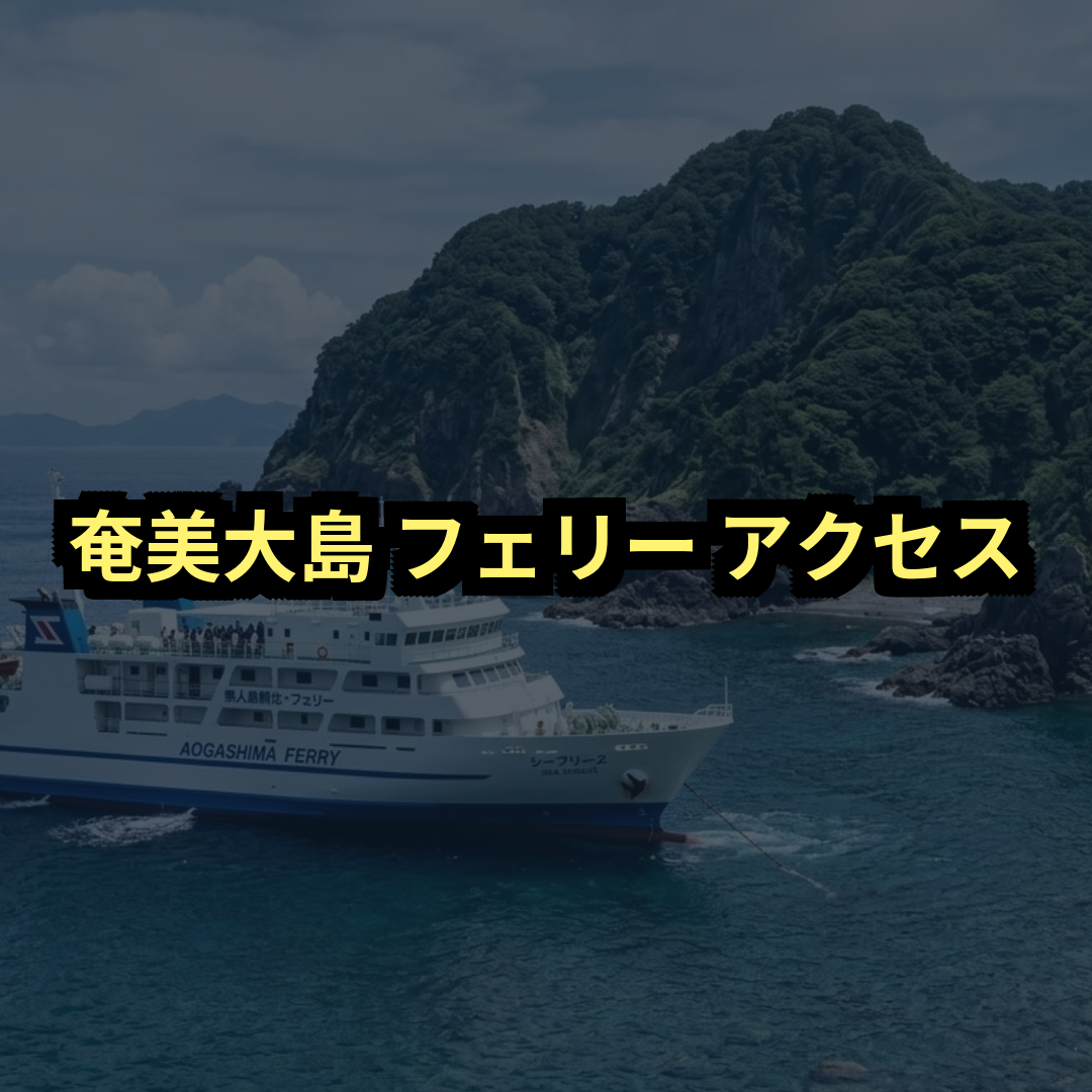奄美大島フェリーアクセス