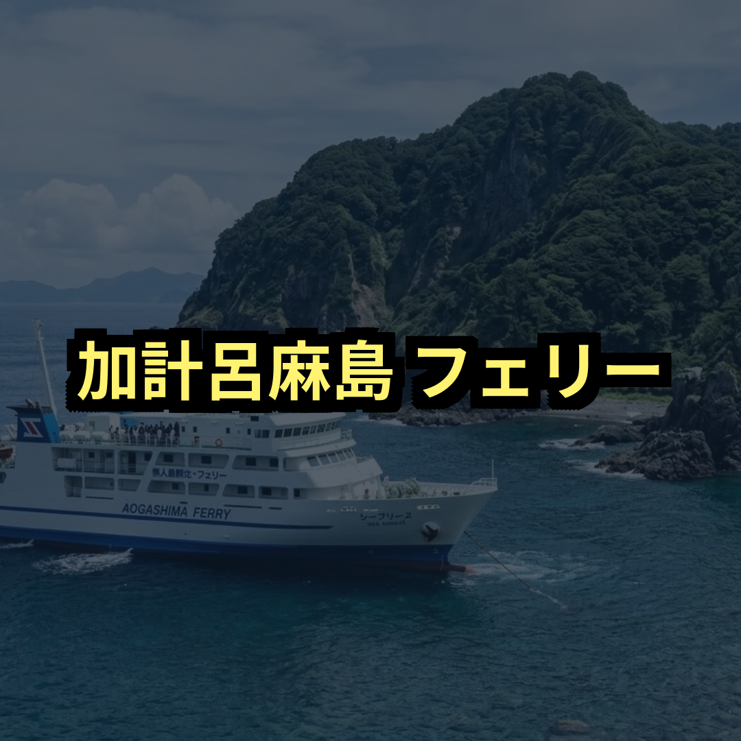 加計呂麻島フェリー