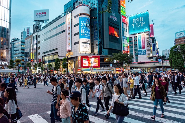 日本行きフェリー予約時期はいつがベスト 満席を避ける裏ワザ完全ガイド