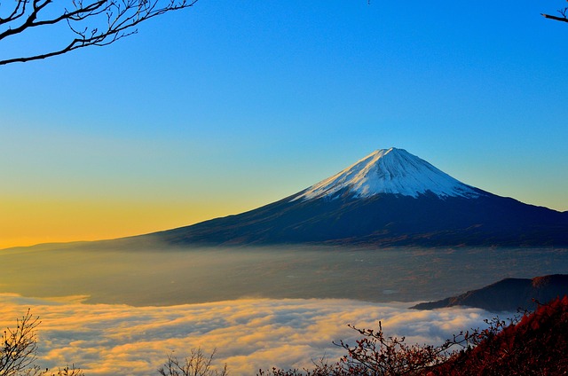 スローな旅の魅力 フェリーでゆったり行く日本クルーズ旅日記