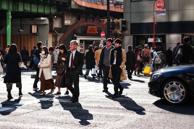 日本の港に到着した後はどうする 入国手続きと市内へのアクセス方法を完全ガイド